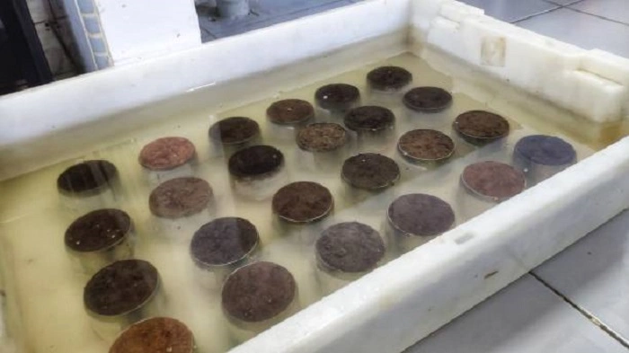 image of different soil samples in a laboratory
