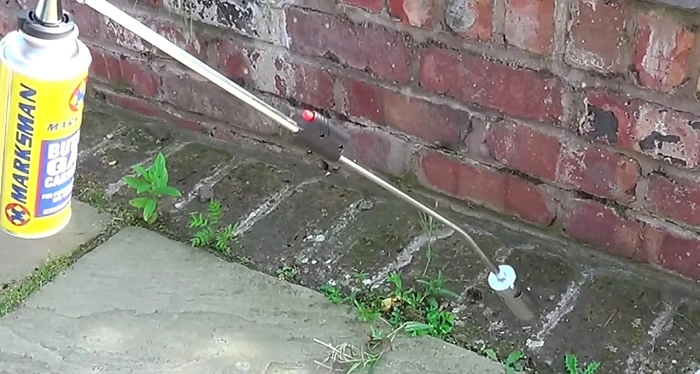 image of killing weeds using heat