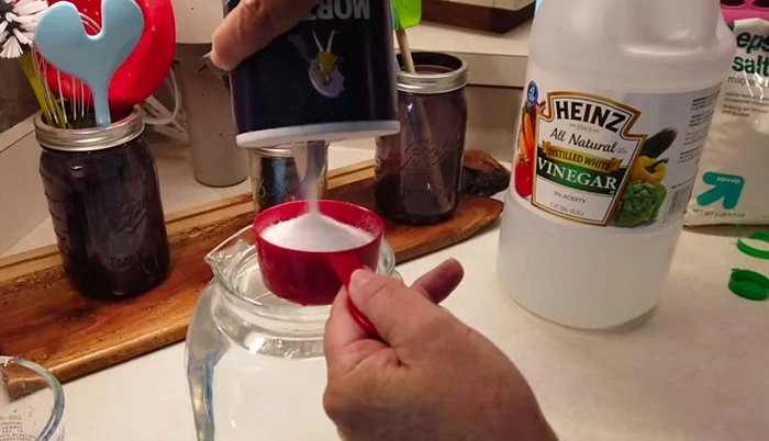 image of a vinegar mixture