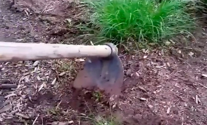 image of a garden hoe used to kill weeds