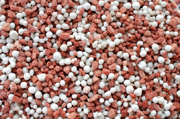 image of phosphorus fertilizer