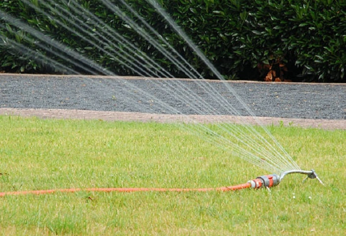 image of watering st augustine grass lawn