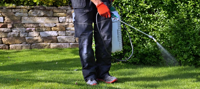 image of spraying insecticides in lawn