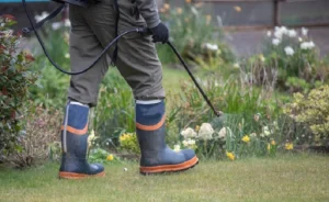 image of spraying weed killer in a lawn