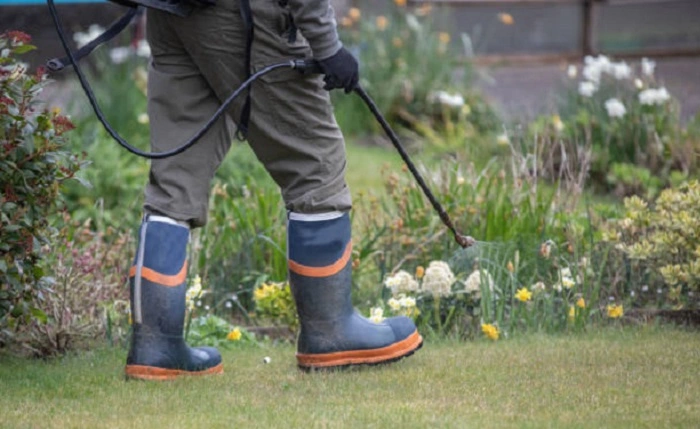 image of spraying weed killer in a lawn