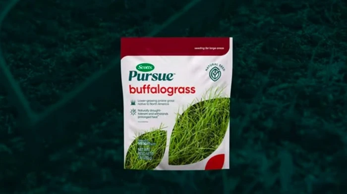 image of buffalo grass seed bag
