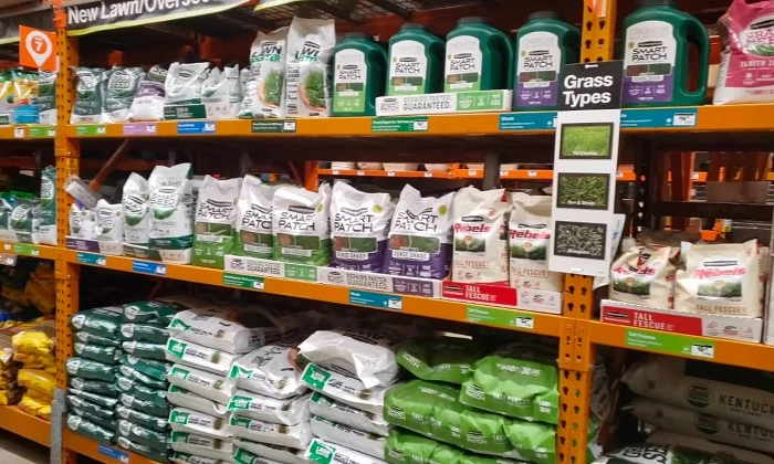 image of different varieties of grass seeds