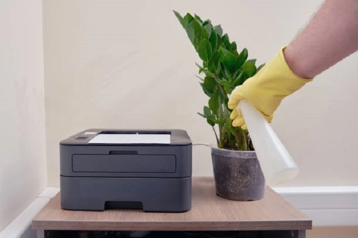 image of watering zz plant