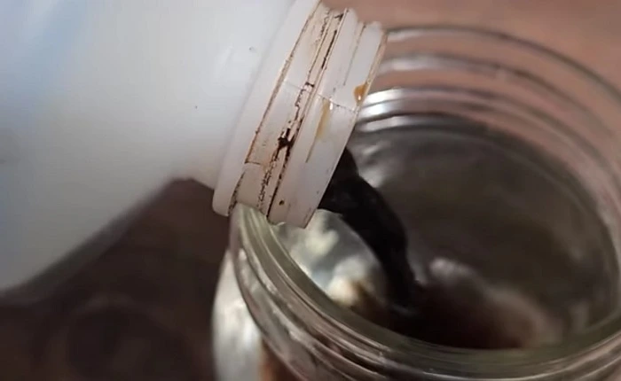 image of preparing fertilizer for zucchini plant