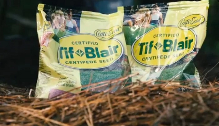 image of tif blaire centipede grass seed bag