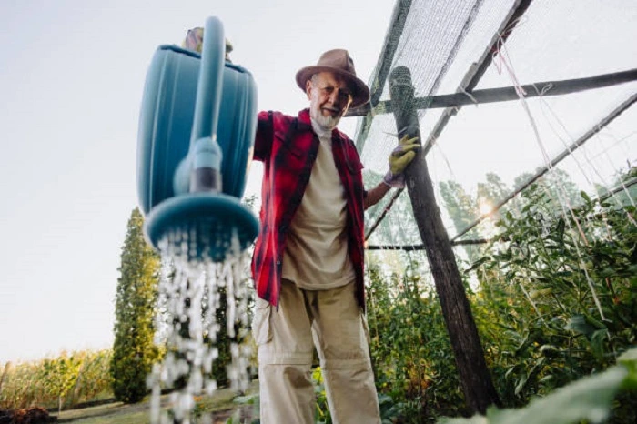 image of a man watering shrubs with waste water of hot water tub