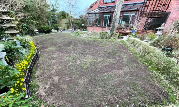 image of lawn grass covered with dirt
