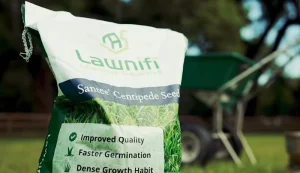image of a bag of centipede grass seed