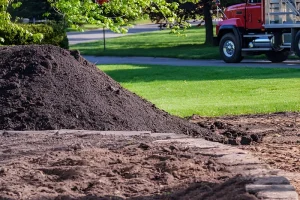 image of a pile of dirt in a lawn