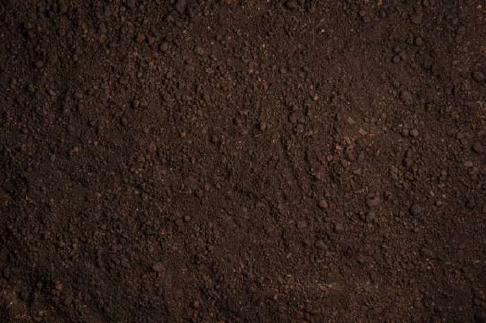 image of fertilizer rich soil