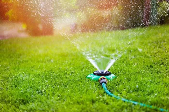 image of watering lawn grass