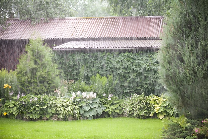 image of a lawn in rain after lightning
