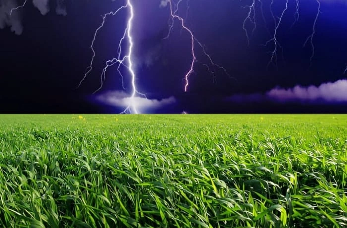 image of lightning providing nitrogen to grass 