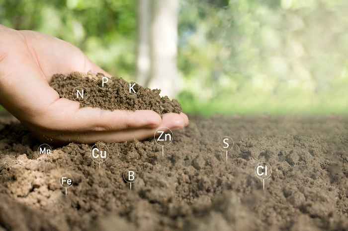 image of main nutrients in soil