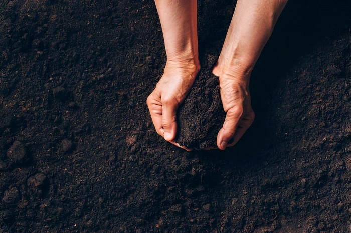 image of soil
