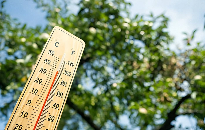 image of thermometer